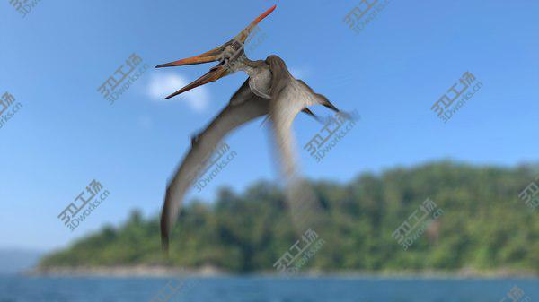 images/goods_img/20210312/3D model Pteranodon Longiceps Gray Animated/2.jpg